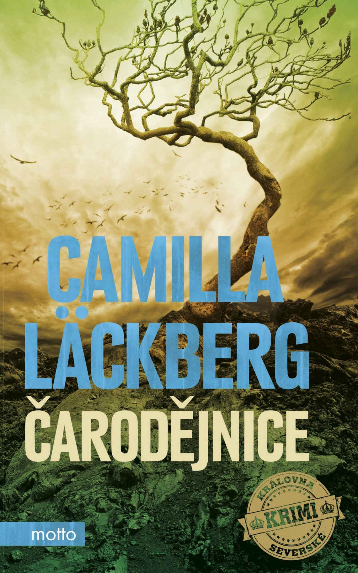 Čarodějnice - Camilla Läckberg