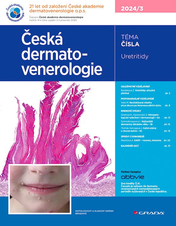 Levně Česká dermatovenerologie 2024/3 - Hercogová Třešňák Jana, kolektiv