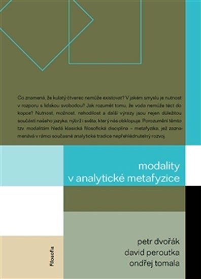 Levně Modality v analytické metafyzice - Petr Dvořák