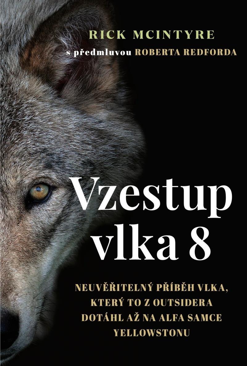 Levně Vzestup vlka 8 - Neuvěřitelný příběh vlka, který to z outsidera dotáhl až na alfa samce Yellowstonu - Rick McIntyre