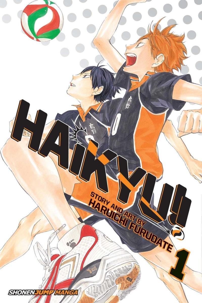 Levně Haikyu!! 1 - Haruichi Furudate