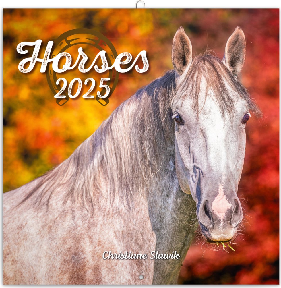 Levně Kalendář 2025 poznámkový: Koně - Christiane Slawik, 30 × 30 cm