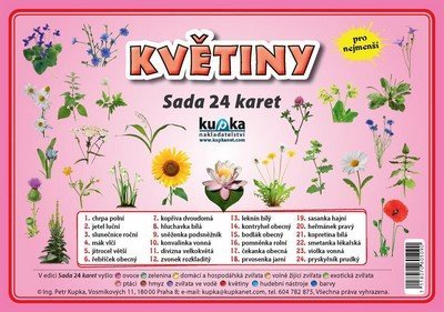 Levně Květiny - Sada 24 karet - Petr Kupka