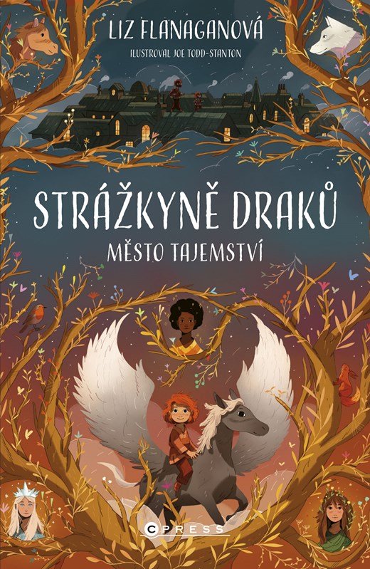 Strážkyně draků 2 - Město tajemství - Liz Flanaganová