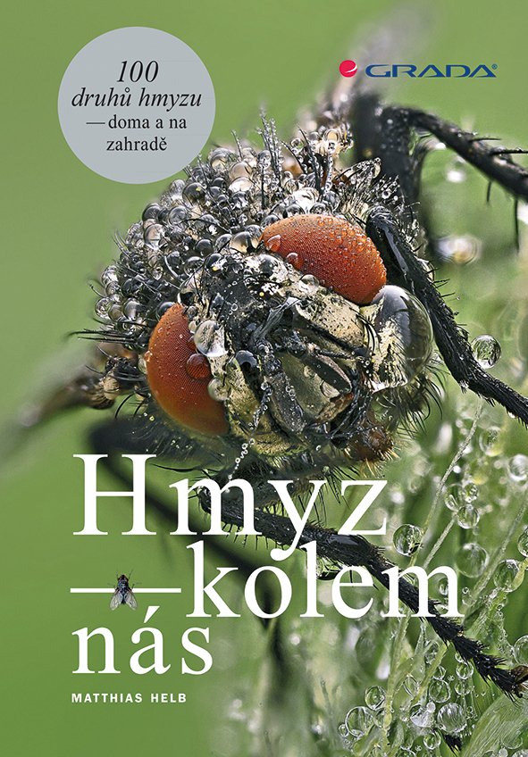Levně Hmyz kolem nás - 100 druhů hmyzu doma i na zahradě - Matthias Helb