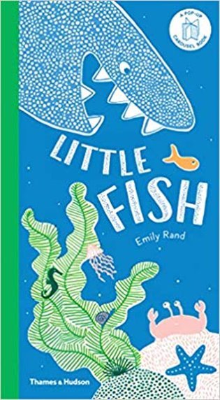 Levně Little Fish : A Carousel Book - Emily Rand