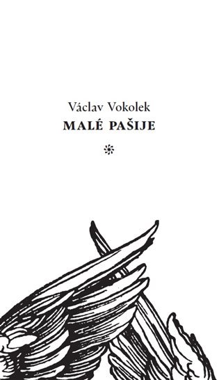 Levně Malé pašije - Václav Vokolek