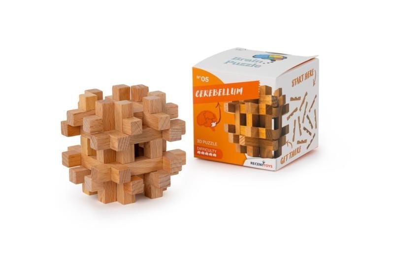 Levně Recenttoys Hlavolam: Brain Puzzle 5 - Mozeček