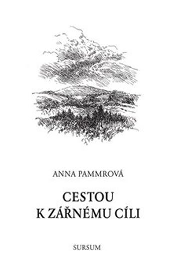 Levně Cestou k zářnému cíli - Anna Pammrová