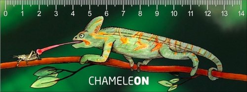 Levně Pravítko 3D - Chameleon