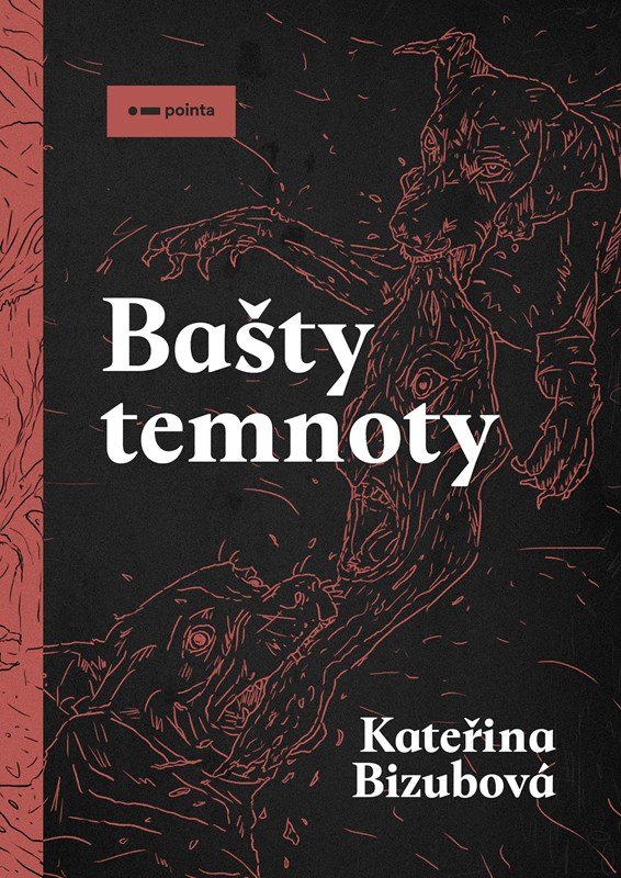 Levně Bašty temnoty - Kateřina Bizubová