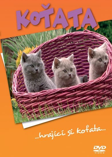 Levně Koťata - DVD