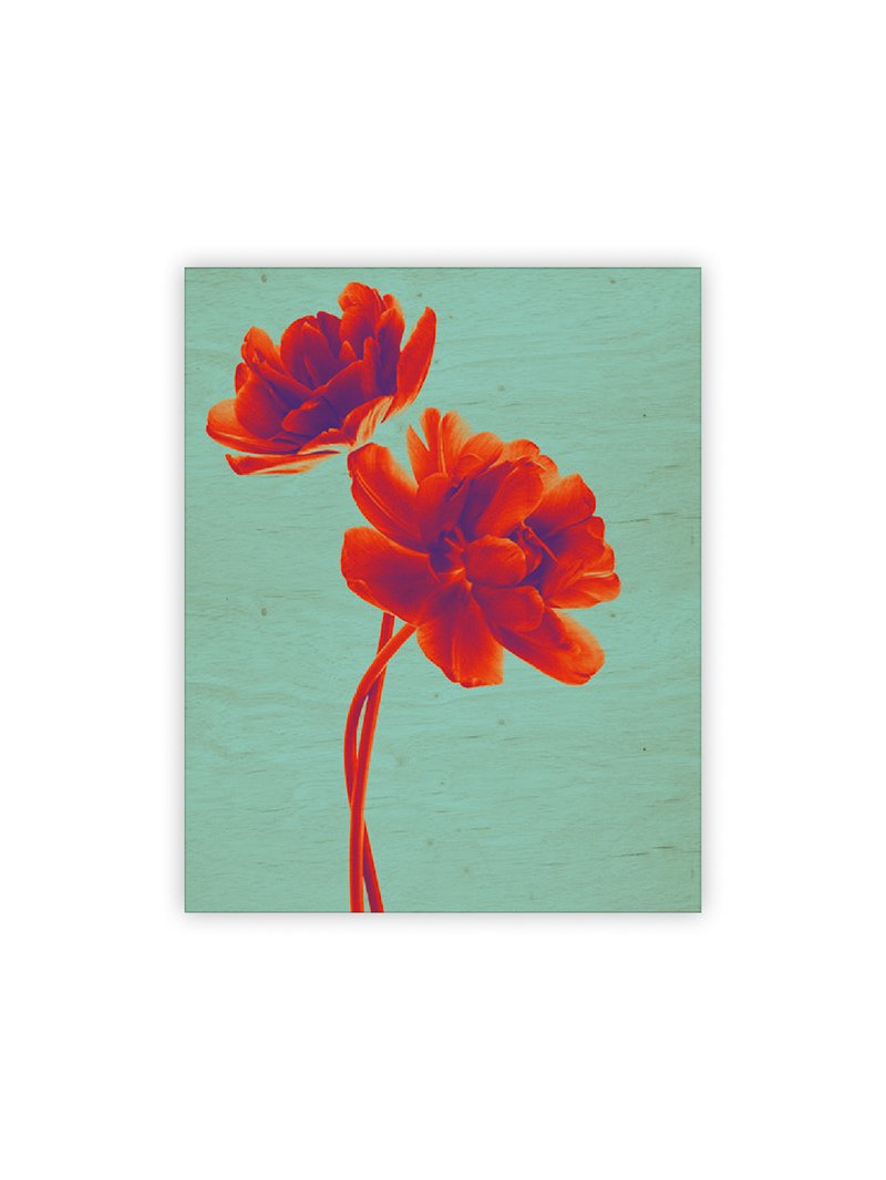 Levně Obraz dřevěný: Tulip, 240x300