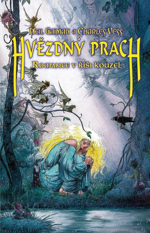 Levně Hvězdný prach - Neil Gaiman