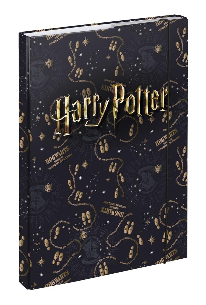 Levně BAAGL Harry Potter Desky na školní sešity A4 - Pobertův plánek