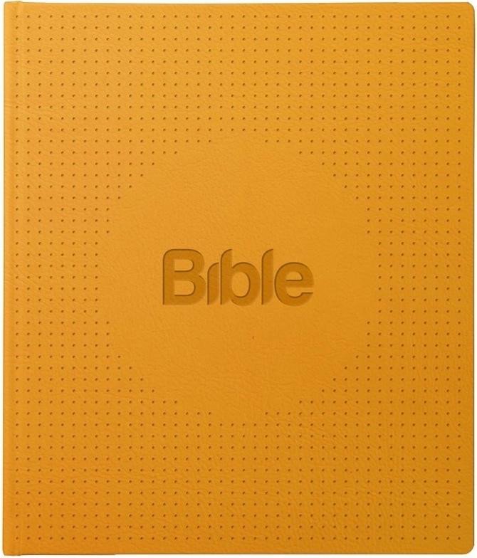 Levně Bible21 ilumina, 9. vydání - Alexandr Flek