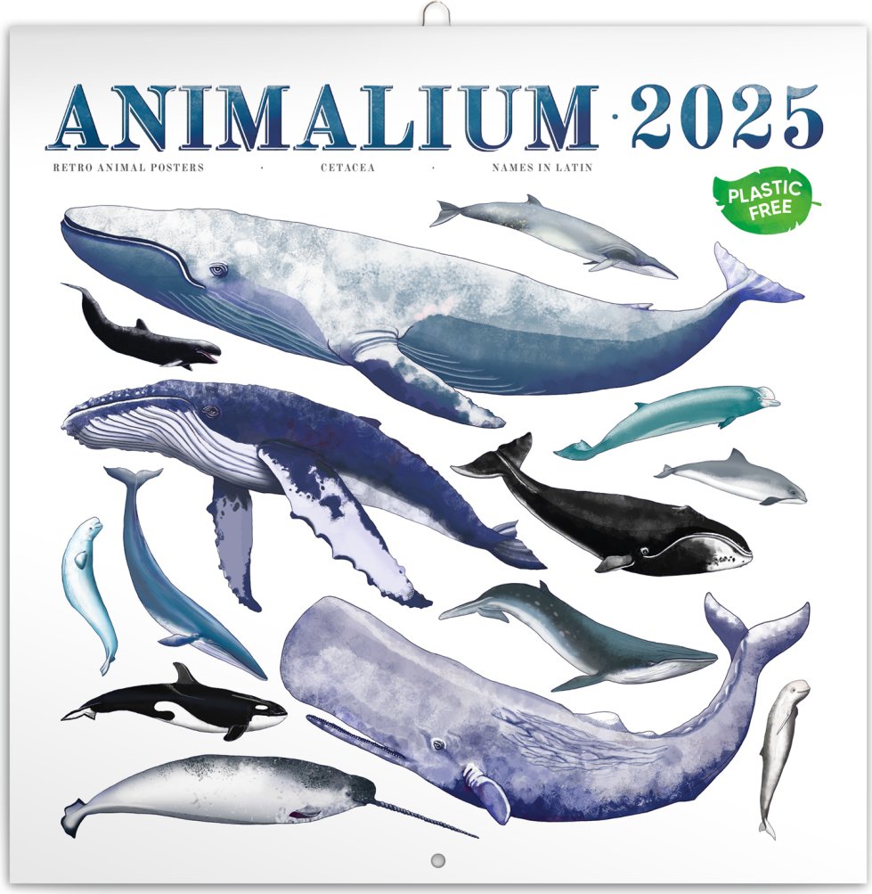 Levně Kalendář 2025 poznámkový: Animalium, 30 × 30 cm