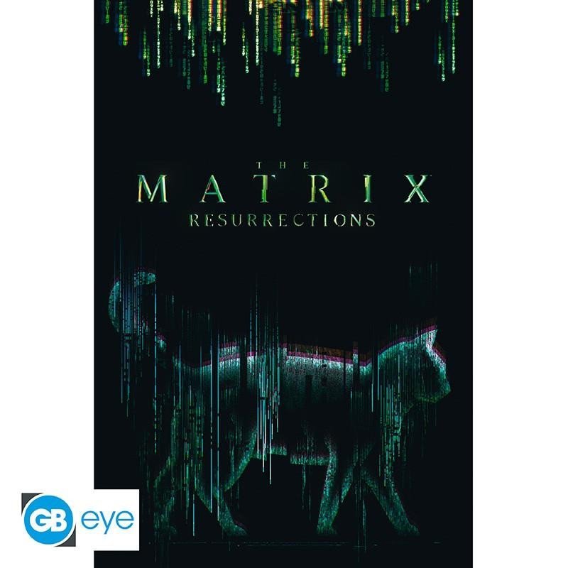 Levně Matrix Plakát Maxi Kočka 91,5 x 61 cm