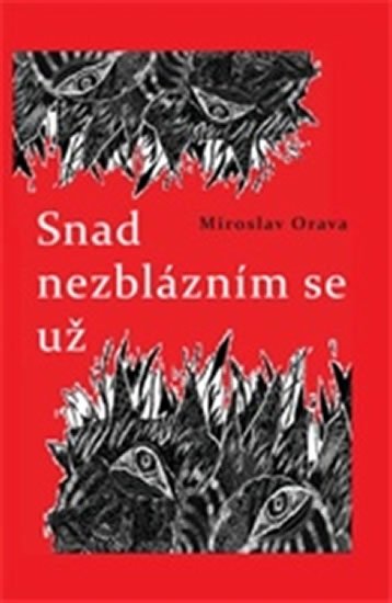 Levně Snad nezblázním se už - Miroslav Orava