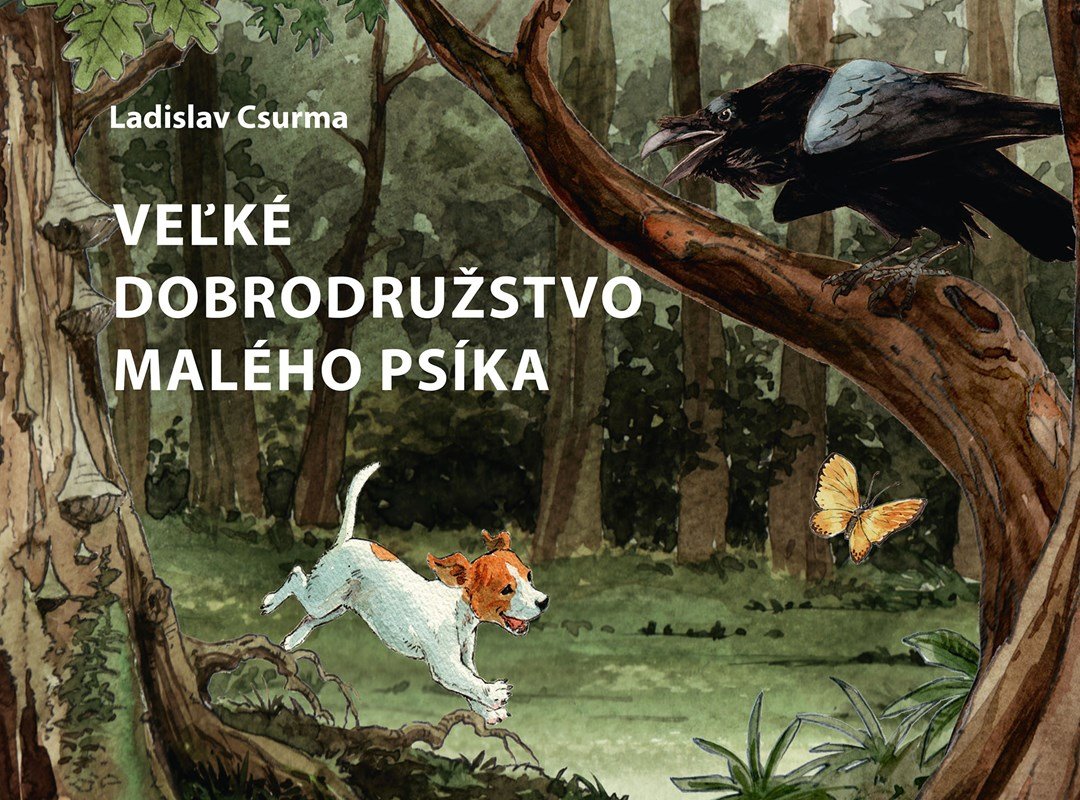 Levně Veľké dobrodružstvo malého psíka - Ladislav Csurma