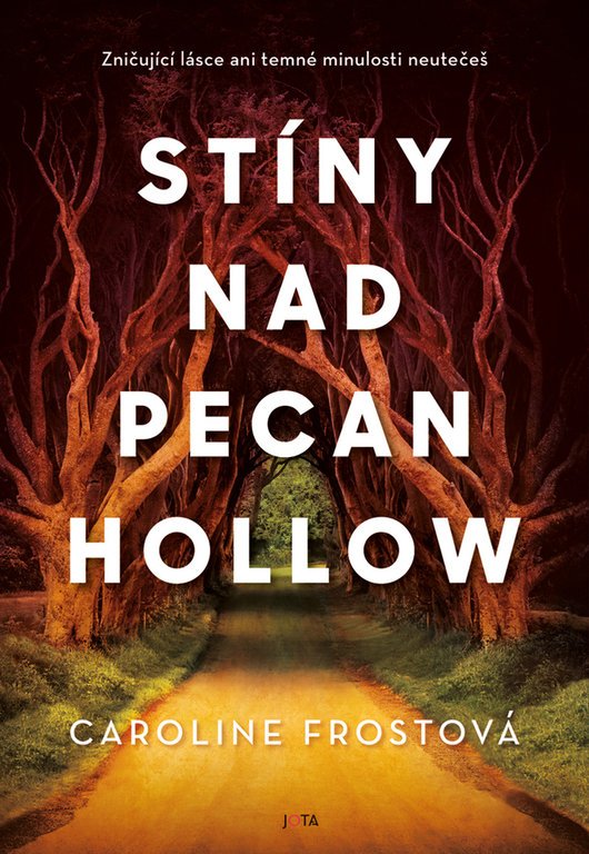 Levně Stíny nad Pecan Hollow - Caroline Frostová