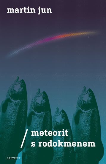 Levně Meteorit s rodokmenem - Martin Jun