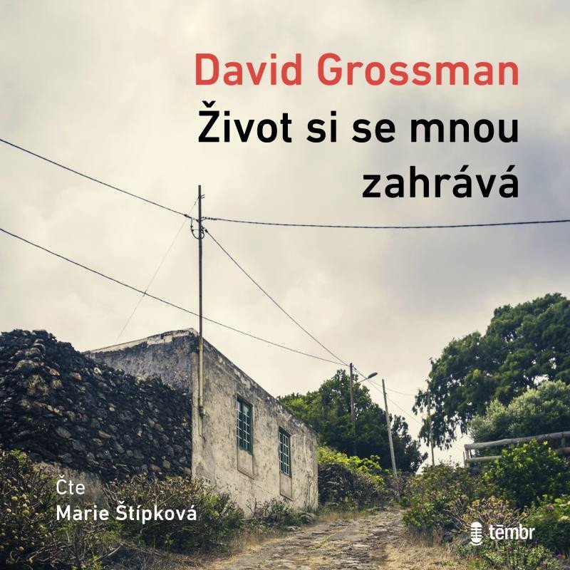 Levně Život si se mnou zahrává - audioknihovna - David Grossman