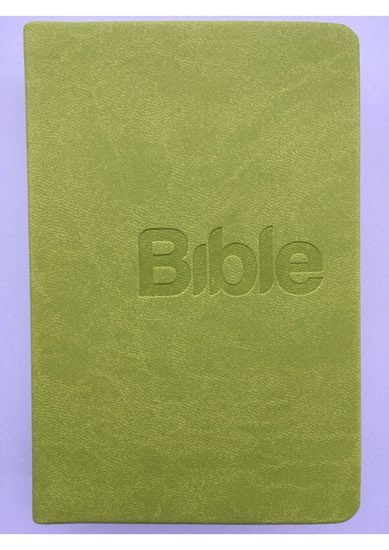 Levně Bible, překlad 21. století (Green) - Alexandr Flek