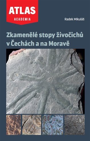 Zkamenělé stopy živočichů v Čechách a na Moravě - Radek Mikuláš
