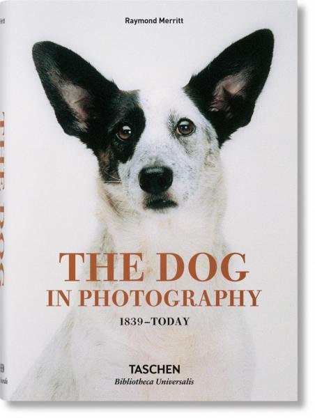 The Dog in Photography 1839–Today - Raymond Merritt