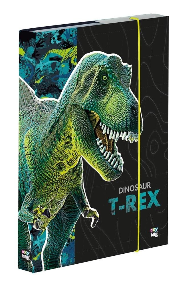 Box na sešity A5 Premium - Dinosaurus