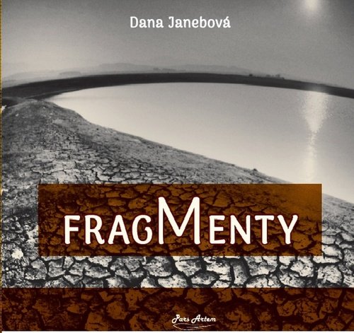Levně Fragmenty - Dana Janebová