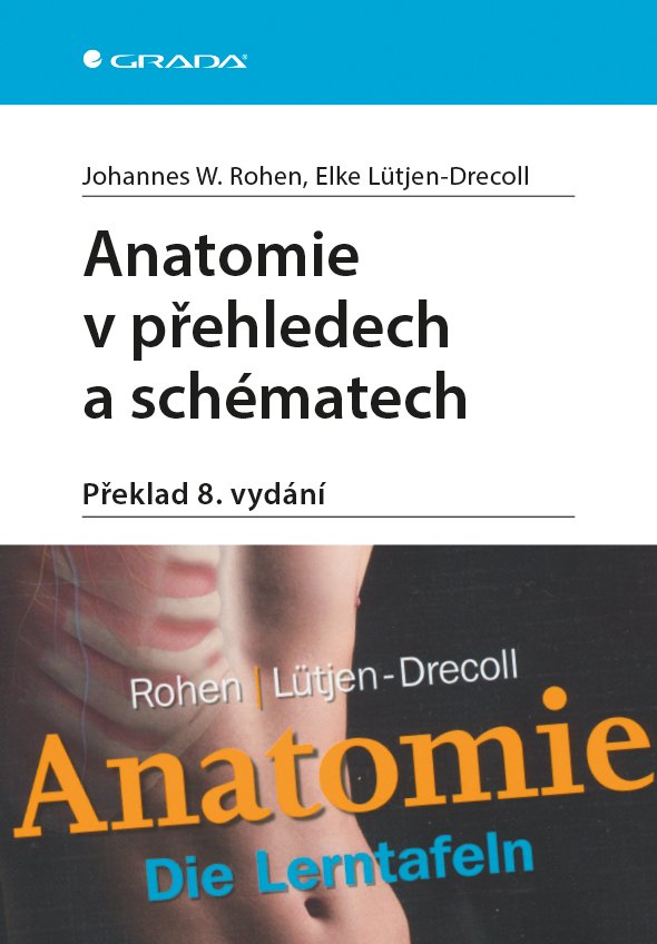 Levně Anatomie v přehledech a schématech - Elke Lütjen-Drecoll