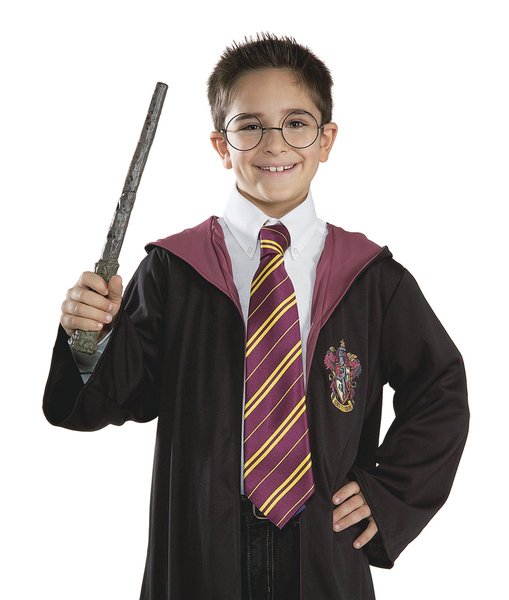 Levně Harry Potter: kravata