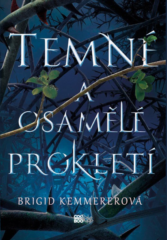 Levně Temné a osamělé prokletí - Brigid Kemmererová