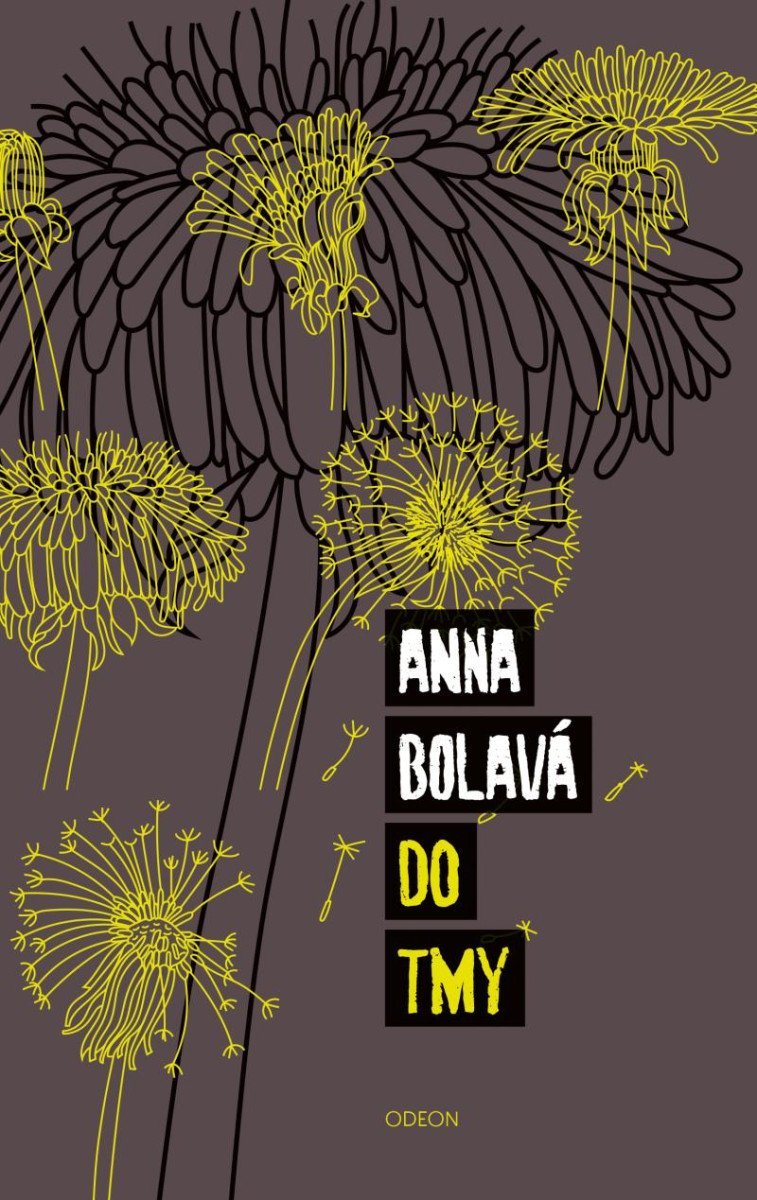 Levně Do tmy, 2. vydání - Anna Bolavá