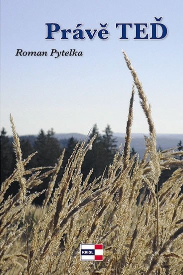 Levně Právě teď - Roman Pytelka