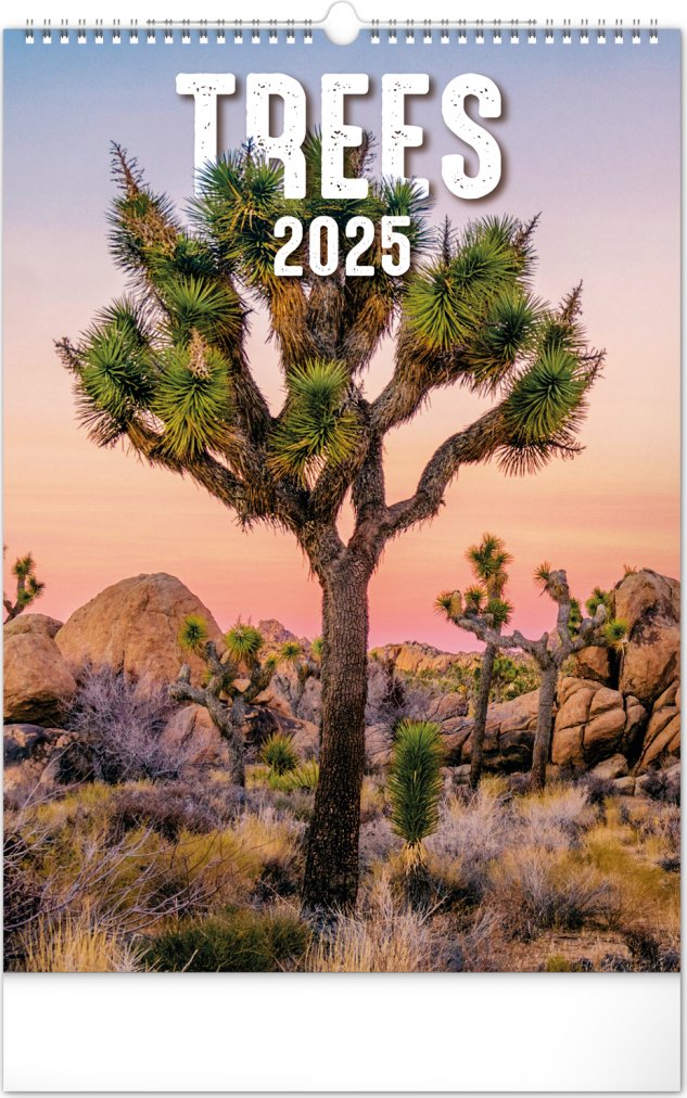 Levně Kalendář 2025 nástěnný: Stromy, 33 × 46 cm