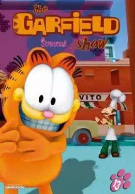 Levně Garfield 13 - DVD slim box