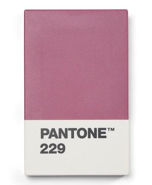 Levně Pantone Pouzdro na vizitky dárkové balení - Aubergine 229