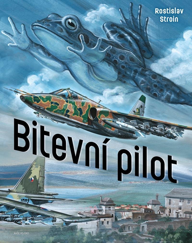 Levně Bitevní pilot - Rostislav Stroin