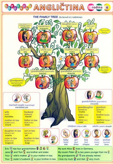 Levně Obrázková angličtina 6 - Rodina - Petr Kupka