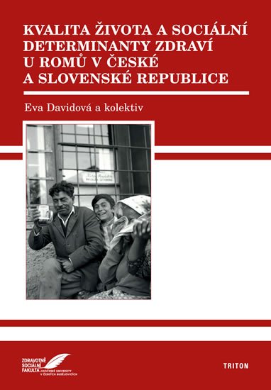 Kvalita života a sociální determinanty zdraví u Romů v České a Slovenské republice - Eva Davidová
