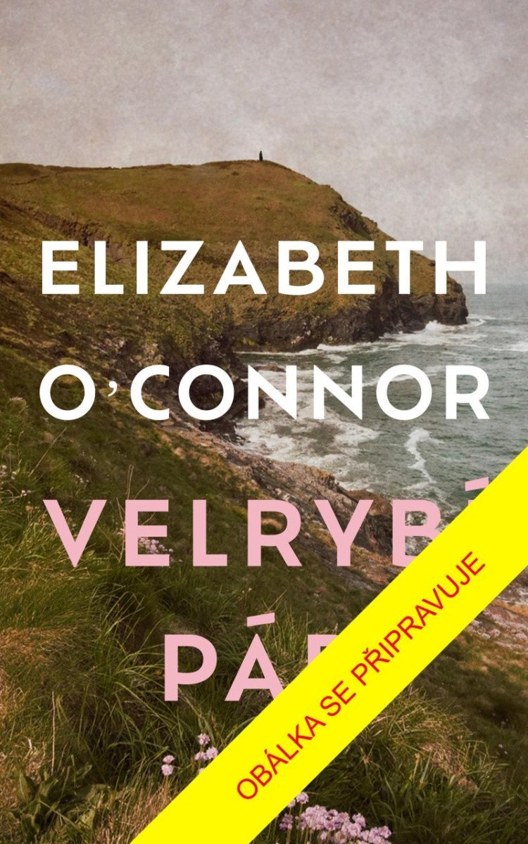 Levně Velrybí pád - Elizabeth O´Connor