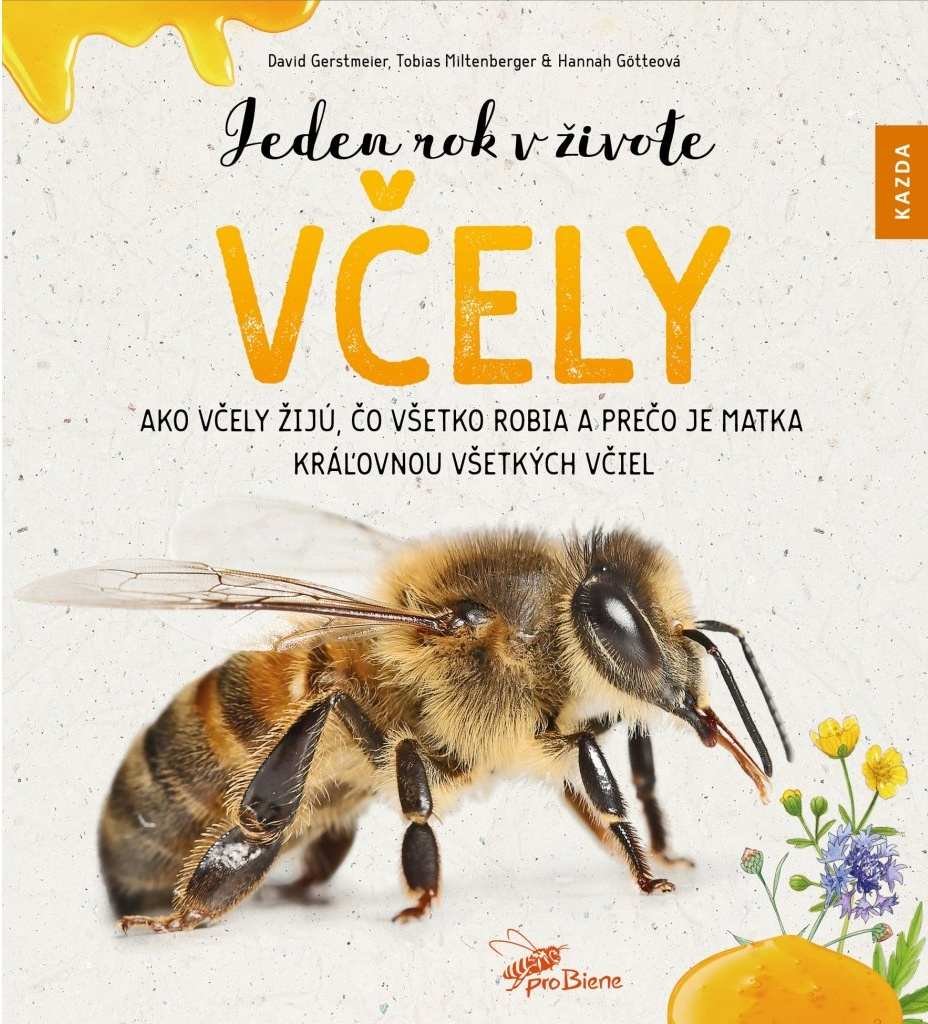 Levně Jeden rok v živote včely - Ako včely žijú, čo všetko robia a prečo je matka kráľovnou všetkých včiel - David Gerstmeier
