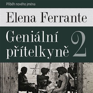 Geniální přítelkyně 2 - Příběh nového jména - 2 CDmp3 (Čte Taťjána Medvecká) - Elena Ferrante