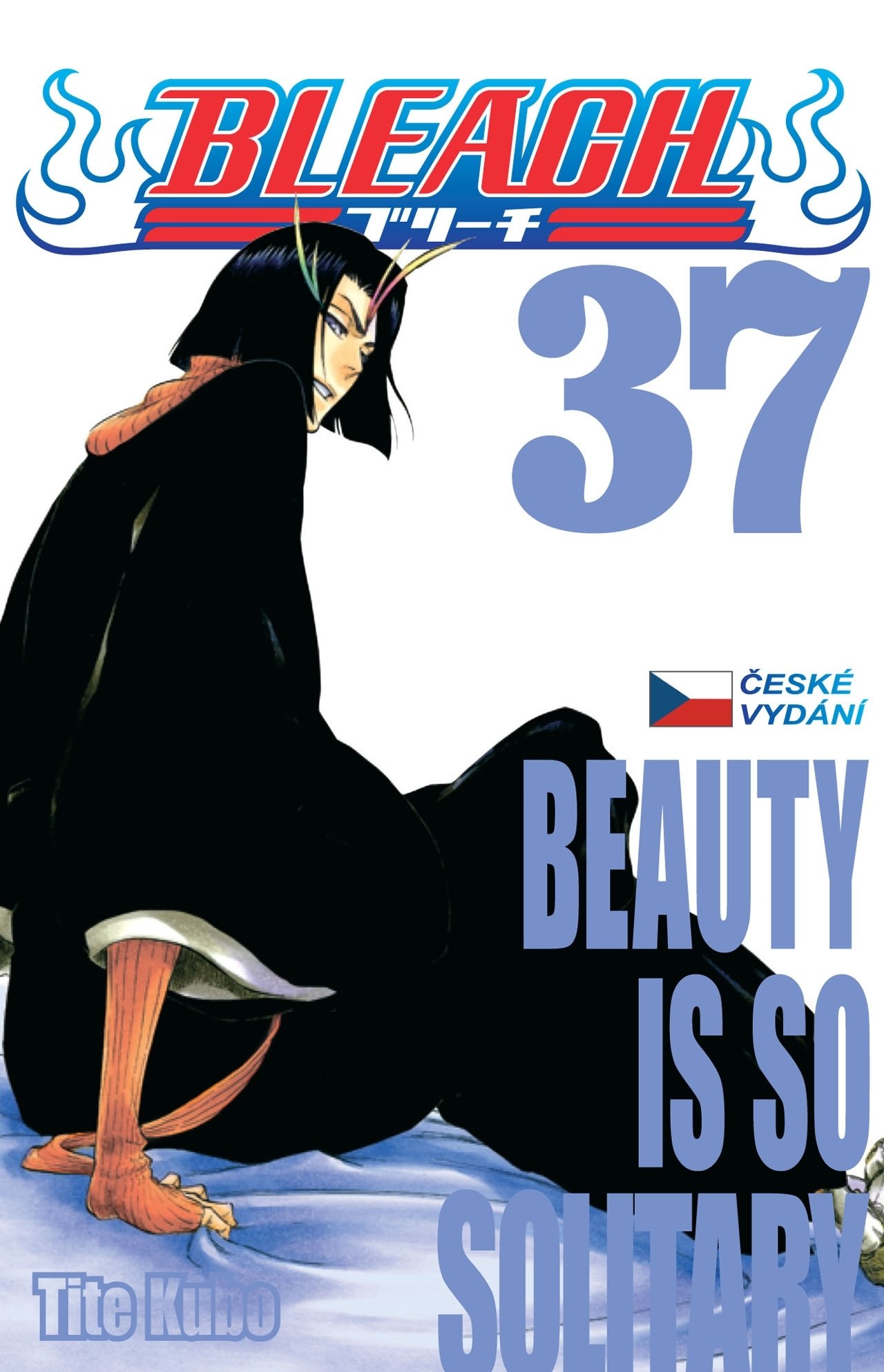 Bleach 37: Beauty Is So Solitary - Noriaki Kubo