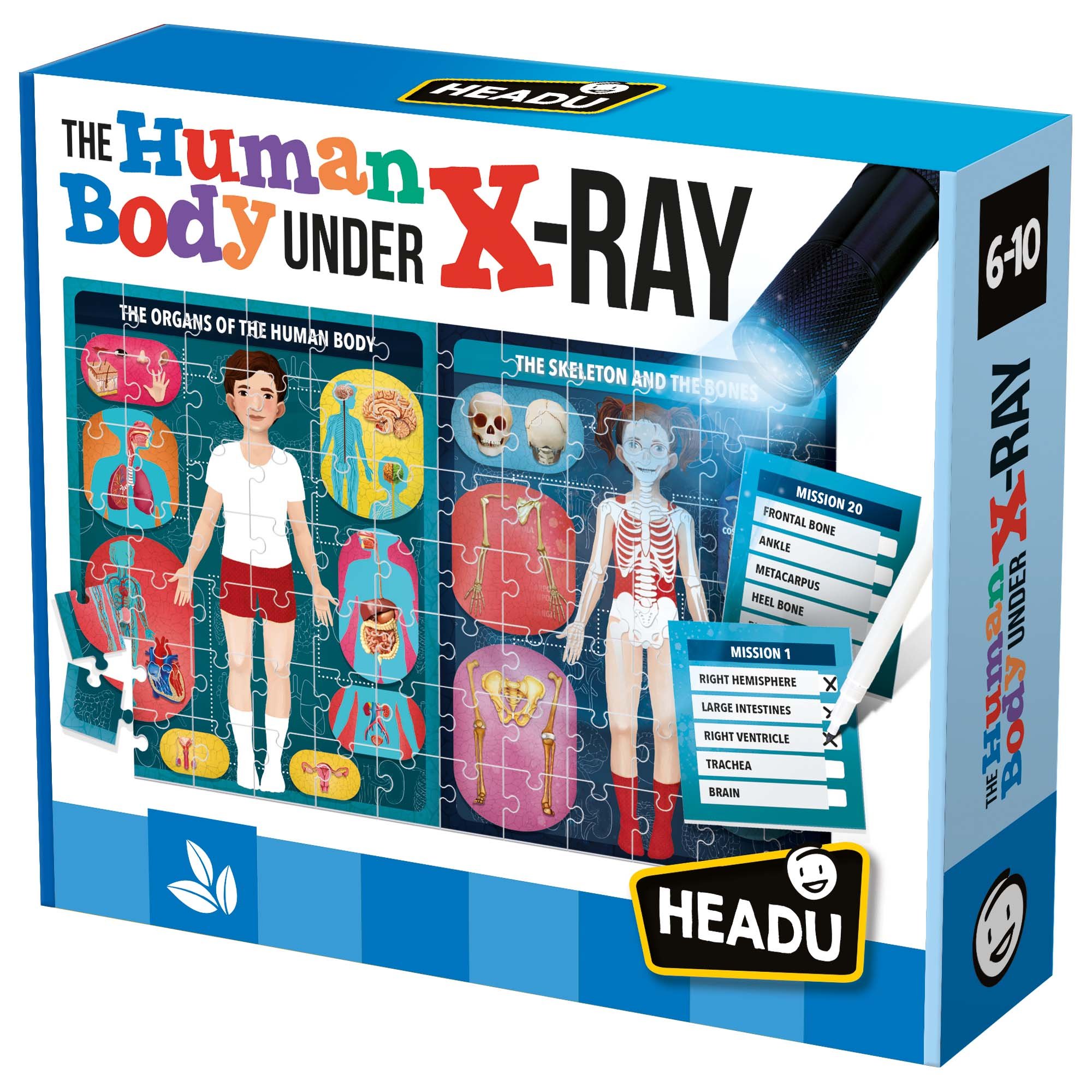 HEADU: Lidské tělo pod rentgenem