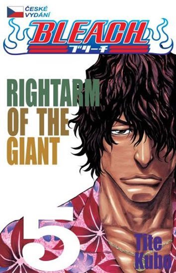 Bleach 5: Right Arm of the Giant - Noriaki Kubo