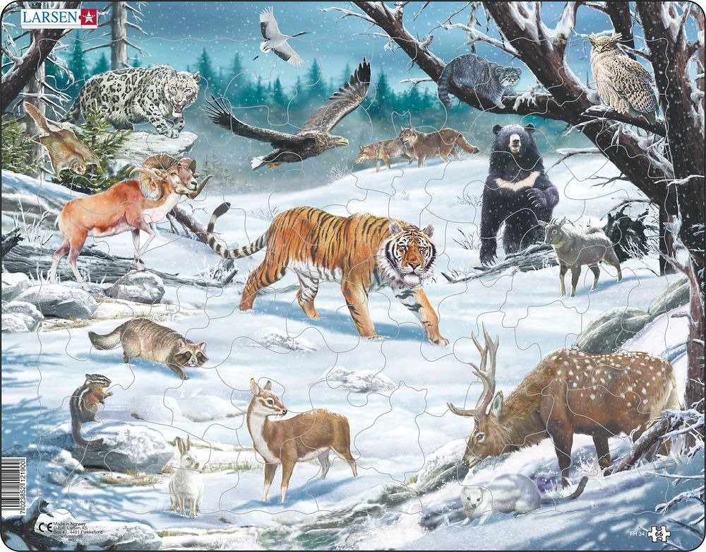 Levně Puzzle MAXI - Sibiř a krajina Severovýchodní Asie/66 dílků - Kohoutová Visiodan